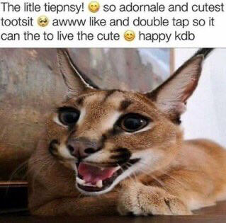 big floppa