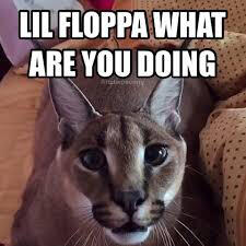 big floppa